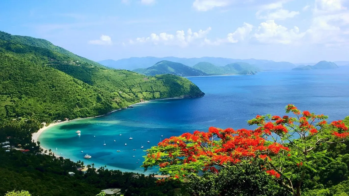 科技高效智能系统